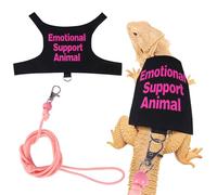 Juego de arnés y correa de dragón barbudo ajustable, correa de lagarto para reptiles, chaleco de cuerda, kit de iniciación, accesorios para animales pequeños, entrenamiento al aire libre