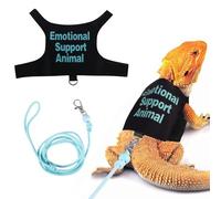 Juego de arnés y correa de dragón barbudo, arnés de entrenamiento autoadhesivo ajustable a prueba de escape con correa de nailon de 4 pies para caminar al aire libre e interior