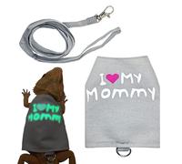 Juego de arnés y correa de dragón barbudo, lona luminosa, transpirable, ajustable, accesorios para mascotas, ropa de dragón barbudo, para pasear, acampar, excursión nocturna, compras, visitas a la