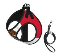 Juego de arnés y correa de malla suave con estampado de bandera de México para mascotas, cachorros, gatos, chaleco acolchado cómodo sin tirones