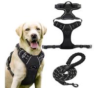 Juego de arnés y Correa for Perros, arnés Ajustable sin tirones con Clips Delanteros y Traseros, Comodidad Premium, diseño sin tirones y Seguridad Reflectante for Perros(Black,S)