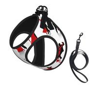 Juego de arnés y correa para cachorros con estampado de baile de salón, malla suave, reflectante, transpirable, ligero, estilo chaleco