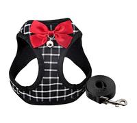 Juego de arnés y correa para gato, transpirable, cómodo, bonito arnés para perro XXS con lazo y campana, ajustable y antideslizante para cachorros, gatitos, conejos, Xxs y correa