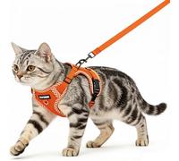 Juego de arnés y correa para gatos, arnés para gatitos a prueba de escape con correa ajustable, ligero y suave, con tiras reflectantes, malla transpirable para gatos seguros al aire libre (naranja, M)