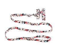 Juego de arnés y Correa para Gatos, arnés para Mascotas Ajustable de Nylon a Prueba de Escape con Cuerda de tracción, Hebilla de liberación rápida y Clips de aleación para Paseos (Talla S)