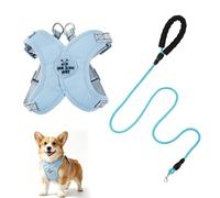 Juego de arnés y correa para perro, arnés para cachorros con marco en X sin tirones, arnés para perro de raza pequeña con tiras reflectantes, correa redonda de 1,5 m, chaleco de malla transpirable
