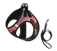 Juego de arnés y correa para perro con estampado de atardecer del desierto, chaleco reflectante ajustable para cachorros para perros pequeños, medianos y grandes y gatos