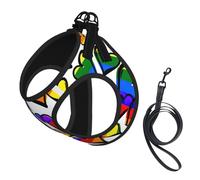 Juego de arnés y correa para perro con estampado de corazones del orgullo gay de colores arcoíris, chaleco reflectante ajustable para cachorros pequeños, medianos y grandes y gatos