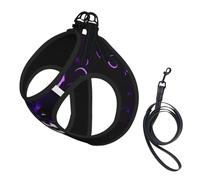 Juego de arnés y correa para perro, de malla suave, con estampado gótico y espeluznante, color morado y negro, chaleco acolchado cómodo sin tirones