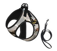 Juego de arnés y correa para perro, diseño de avión de la Segunda Guerra Mundial, 2 estándar, escala 2_00x, chaleco reflectante ajustable para cachorros pequeños, medianos y grandes y gatos