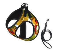 Juego de arnés y correa para perro, diseño de pájaro tropical del paraíso, chaleco reflectante ajustable para cachorros pequeños, medianos y grandes y gatos
