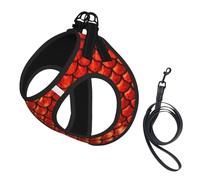 Juego de arnés y correa para perro pequeño con estampado de escamas de pez rojo, chaleco suave ajustable con correas reflectantes de 360° para gatos y cachorros