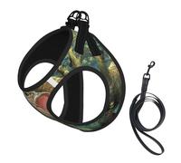 Juego de arnés y correa para perro pequeño con estampado de peces, chaleco suave ajustable con correas reflectantes de 360° para gatos y cachorros
