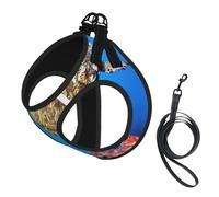 Juego de arnés y correa para perro pequeño con estampado de tortuga con peces coloridos bajo el mar, chaleco suave ajustable con correas reflectantes de 360° para gatos y cachorros