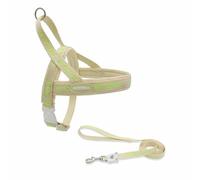 Juego de arnés y correa para perros ajustable de nailon antitirones con correa de 1,5 m para perros pequeños, medianos y grandes (amarillo claro, M para 5,5 kg-10 kg)