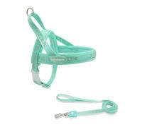 Juego de arnés y correa para perros ajustable de nailon antitirones con correa de 1,5 m para perros pequeños, medianos y grandes (verde, S para 3 kg-5 kg)