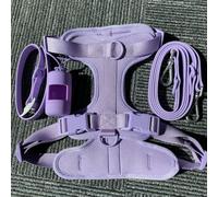 Juego de arnés y Correa para Perros, Chaleco para Perros sin tirones, arnés de PVC, Correa Impermeable para Perros pequeños, medianos y Grandes