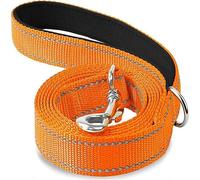 Juego de arnés y Correa Reflectante for Perros: Cuerda Remolque Ajustable for Mascotas con Reflejo Nocturno for Entrenamiento Caminata, cómoda Protectora for Gatos Perros(Orange,2.5x120cm)