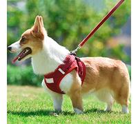 Juego de arnés y correas para perro, sin tirones, ajustable, reflectante, de malla suave, chaleco de pana para cachorros, yorkie, chihuahua, gatos (B, S)