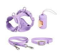 Juego de arneses para Perros para Perros de tamaño Mediano,Juego de arneses para para de tamaño pequeño - de Collar y Correa de arnés para Mascotas,Arnés de Chaleco para con