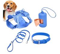 Juego de arneses para perros pequeños, juego de arnés para perros medianos, arnés para mascotas, collar y correa en conjunto, arnés para perros sin tirar, con hebillas ajustables para cachorros con