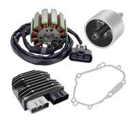 Juego De Bobinas Estator Magnético Motocicletas Para YZF Para R1 2004-2008 Para FZ1 2006-2014 Para FZ8 Para FZ8-N Para 800 2011-2013 Bobina De Estator