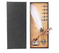 Juego de bolígrafos antiguos estilográficos, plumas metálicas con 5 puntas de acero inoxidable y caja for escritura elegante Blanco