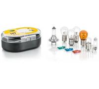 Juego de bombillas C5W 8GH 007 157-901 HELLA