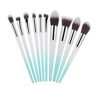 Juego de brochas de maquillaje, 10 piezas, profesional, de fibra sintética suave, colorete facial, sombra de ojos, delineador de ojos, kit de brochas para labios para mujeres y (Bolso OPP del sistema