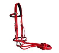Juego de cabestro y brida de PVC, collar resistente para equitación, carreras y entrenamiento ecuestre (Red L)