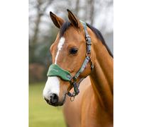 Juego de cabestro y correa LeMieux Vogue Pony