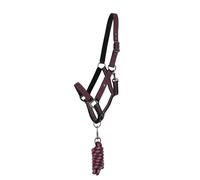 Juego de cabestro y correa QHP Poney