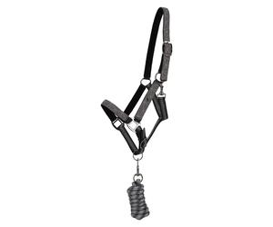 Juego de cabestro y correa QHP Poney