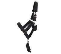 Juego de cabestro y correa QHP Zahra Completo