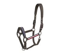 Juego de cabestro y correa Tommy Hilfiger Equestrian Yale Cob