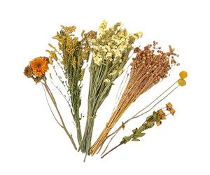 Juego de cama para hámster con flores secas - Decoración natural jaula Chinchilla,Decoración para hábitat de animales pequeños | para erizo pájaro camping Navidad Pascua Amantes de los