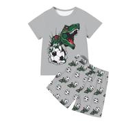 Juego de camiseta con estampado de dinosaurio para ropa casual activa para todos los días, adecuado para deportes escolares, gris, 3-4 años