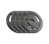 Juego de carga de hierro fundido Rebel 4 x 1,25 kg agujero 31 mm plato con asas RBA-2132