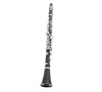 Juego de clarinete Bb, kit de clarinete de madera de 17 teclas con paño de limpieza, destornillador de lengüeta, funda rígida para niños, adultos, principiantes (negro)