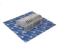 Juego de cojinetes de cabeza de la biela KOLBENSCHMIDT para A 6.73 1999-2012