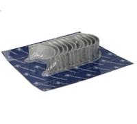 Juego de cojinetes de cabeza de la biela KOLBENSCHMIDT para STRALIS I 10.3 2002-