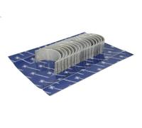 Juego de cojinetes de cabeza de la biela KOLBENSCHMIDT para T 15.607 2004-2005
