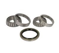 Juego de cojinetes de rueda BTA H12023BTA