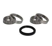 Juego de cojinetes de rueda BTA H15005BTA