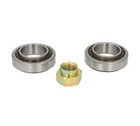 Juego de cojinetes de rueda BTA H1G009BTA