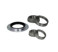 Juego de cojinetes de rueda BTA H1M022BTA