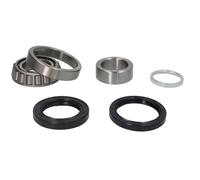 Juego de cojinetes de rueda BTA H23013BTA