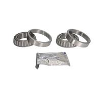 Juego de cojinetes de rueda BTA H2G061BTA