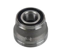 FEBI BILSTEIN 172388 Juego de cojinete de rueda