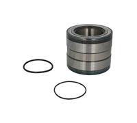 Juego de cojinetes de rueda SKF VKBA 5419